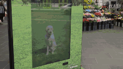broken image
